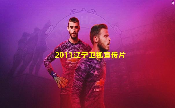 2011辽宁卫视宣传片