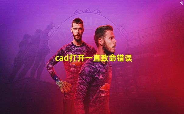 cad打开一直致命错误