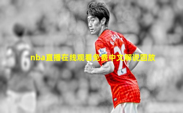 nba直播在线观看免费中文解说回放