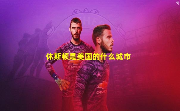 休斯顿是美国的什么城市