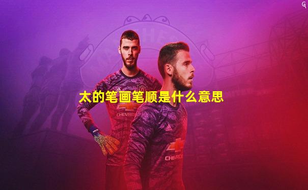 太的笔画笔顺是什么意思