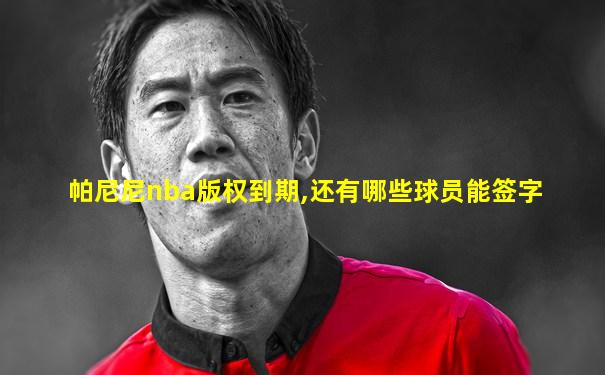 帕尼尼nba版权到期,还有哪些球员能签字