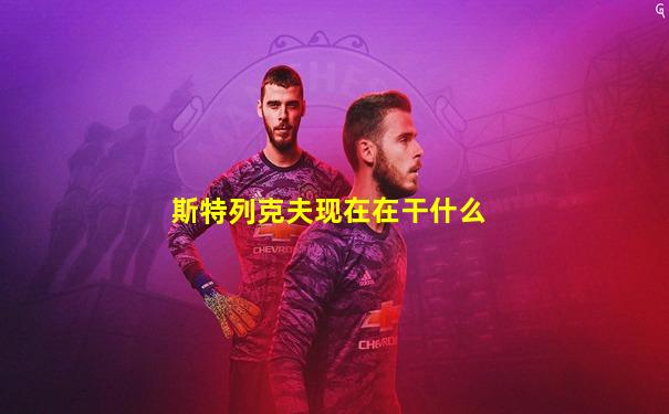 斯特列克夫现在在干什么
