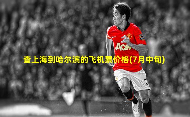 查上海到哈尔滨的飞机票价格(7月中旬)