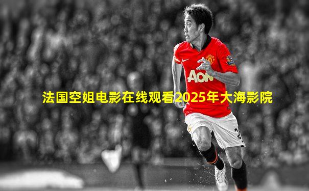 法国空姐电影在线观看2025年大海影院