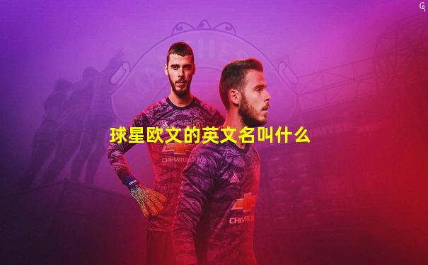 球星欧文的英文名叫什么