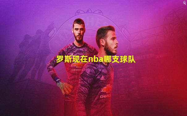 罗斯现在nba哪支球队