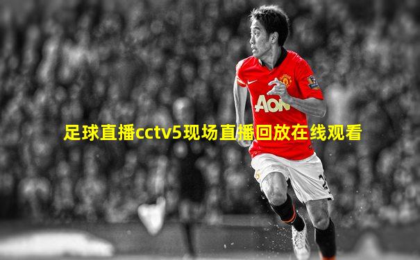 足球直播cctv5现场直播回放在线观看