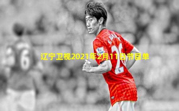 辽宁卫视2021年2月11日节目单