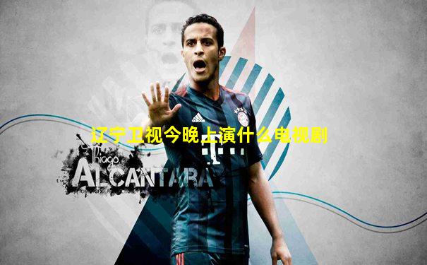 辽宁卫视今晚上演什么电视剧