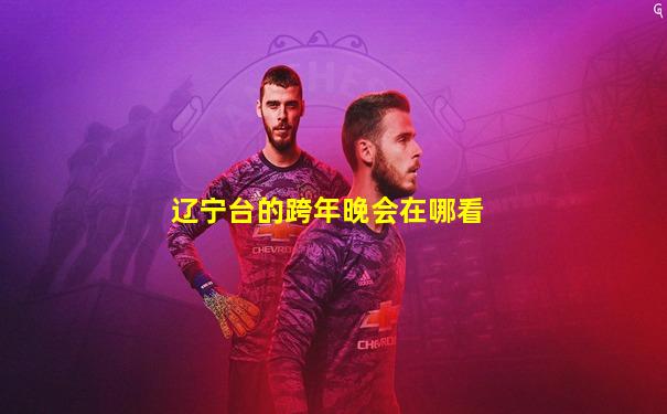 辽宁台的跨年晚会在哪看