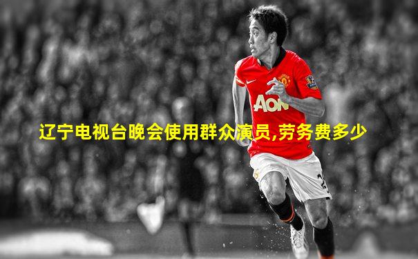 辽宁电视台晚会使用群众演员,劳务费多少