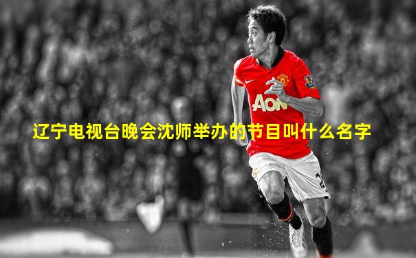 辽宁电视台晚会沈师举办的节目叫什么名字