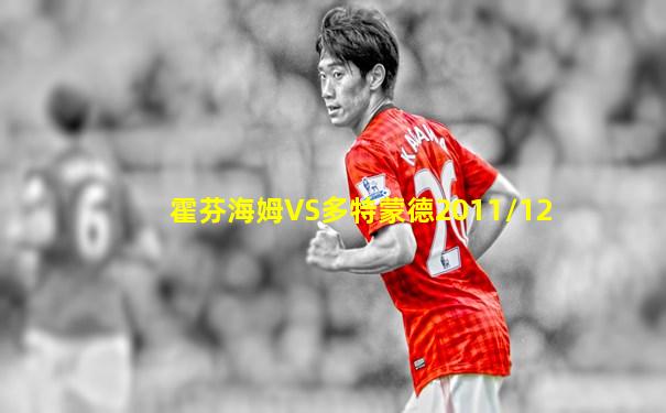 霍芬海姆VS多特蒙德2011/12