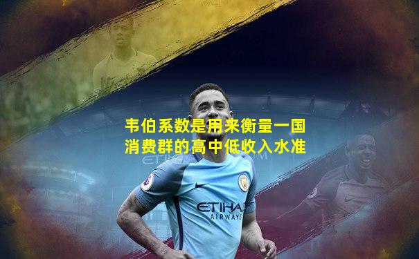 韦伯系数是用来衡量一国消费群的高中低收入水准