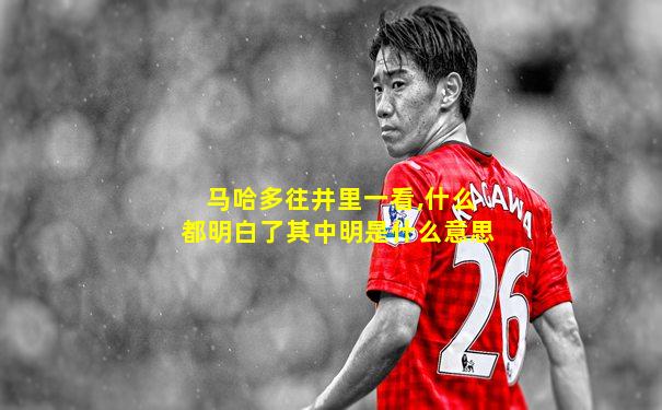 马哈多往井里一看,什么都明白了其中明是什么意思