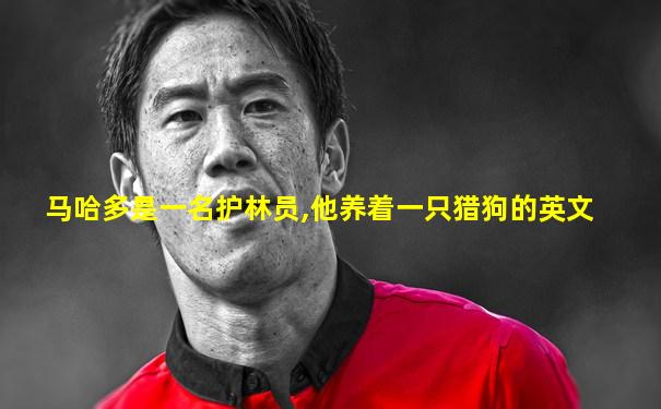 马哈多是一名护林员,他养着一只猎狗的英文