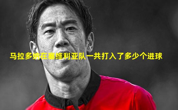 马拉多纳在塞维利亚队一共打入了多少个进球