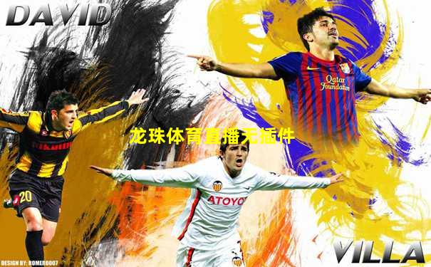 龙珠体育直播无插件