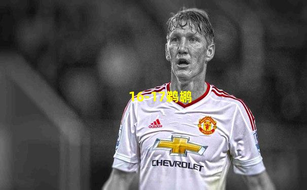 16-17鹈鹕