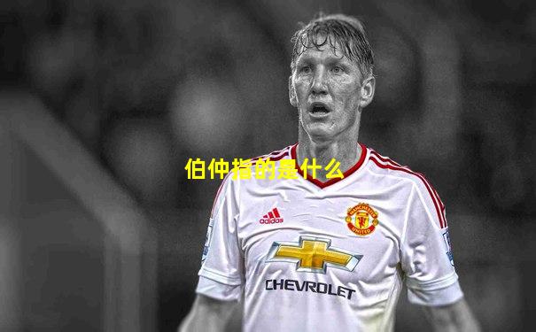 伯仲指的是什么