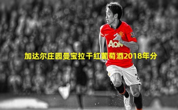 加达尔庄园曼宝拉干红葡萄酒2018年分