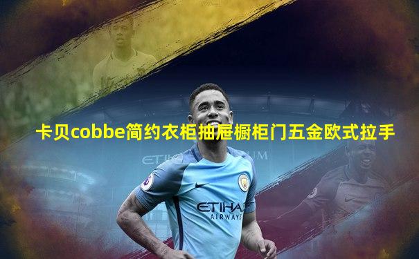 卡贝cobbe简约衣柜抽屉橱柜门五金欧式拉手