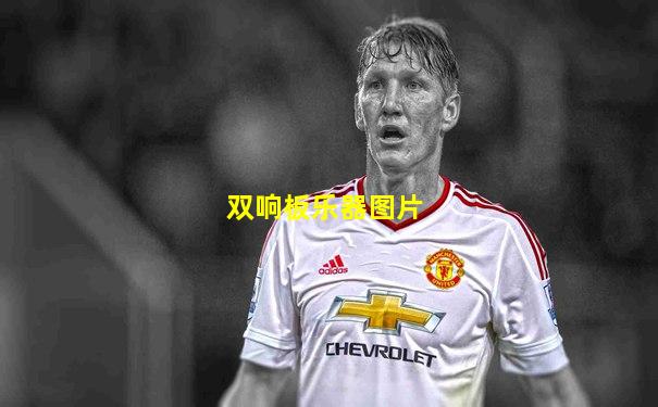 双响板乐器图片