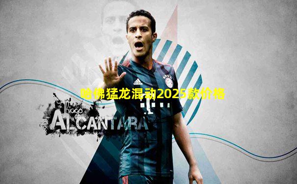 哈佛猛龙混动2025款价格
