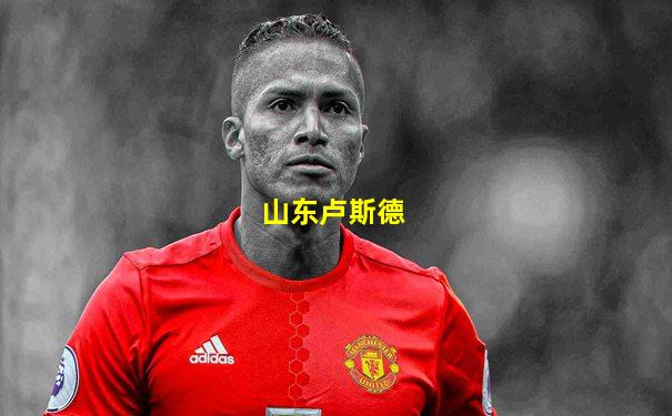山东卢斯德