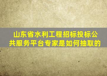 山东省水利工程招标投标公共服务平台专家是如何抽取的