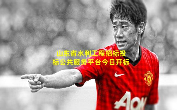 山东省水利工程招标投标公共服务平台今日开标