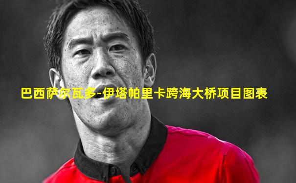 巴西萨尔瓦多-伊塔帕里卡跨海大桥项目图表