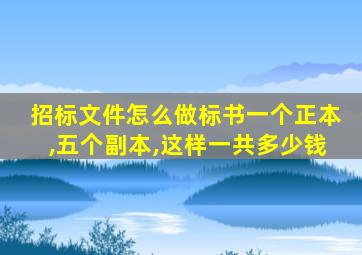 招标文件怎么做标书一个正本,五个副本,这样一共多少钱