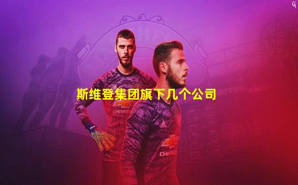 斯维登集团旗下几个公司