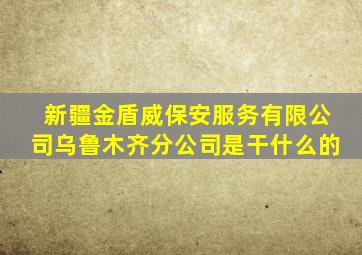 新疆金盾威保安服务有限公司乌鲁木齐分公司是干什么的
