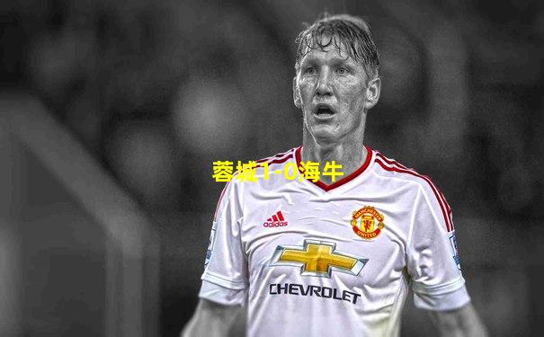 蓉城1-0海牛